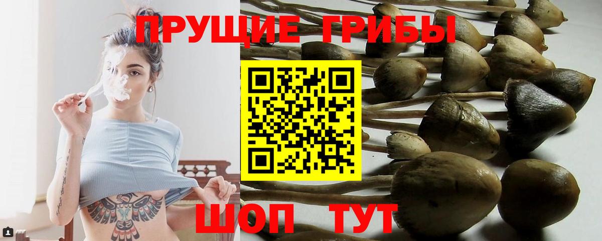 Псилоцибиновые грибы Magic Shrooms Владикавказ