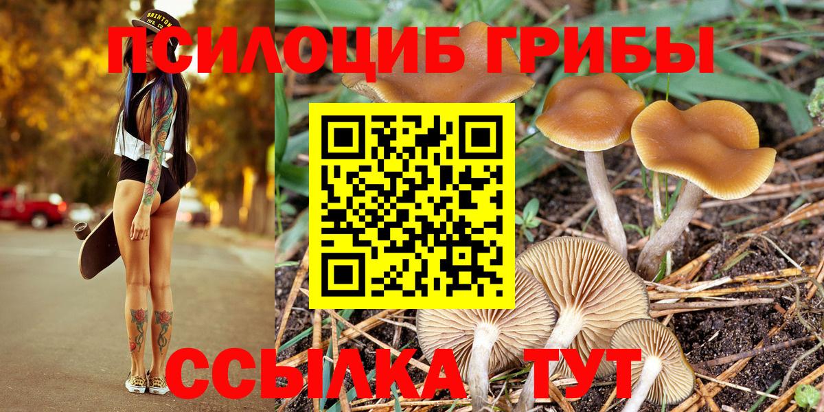Владикавказ  Псилоцибиновые грибы Magic Shrooms  Вход с VPN 